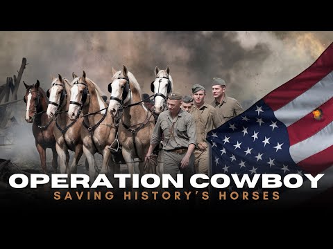Operation Cowboy: The Daring Rescue of the Lipizzaner Horses