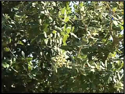 RUTA OESTE. VILLAR DEL REY