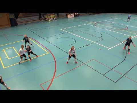 Naisten futsal-liiga 2017-2018 / MuSaFutsal vs. Ylöjärven Ilves maalikooste 14.10.2017