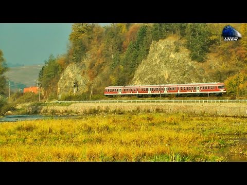 Alt VT614 Dieseltriebwagen/Automotor VT614 in Apuseni Mountains in a Autumn Morning