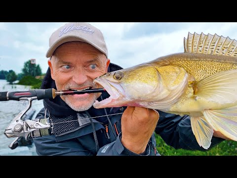 Rute, Rolle & Schnur: Diese Basics musst du kennen!