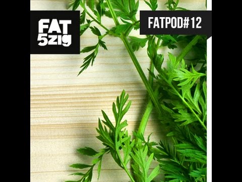 FATPOD#12 - FAT5zig