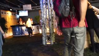 [ambiance] the amazing snakeheads | nighttime | rock en seine