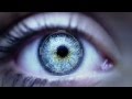 Order Of The Seers Trailer
