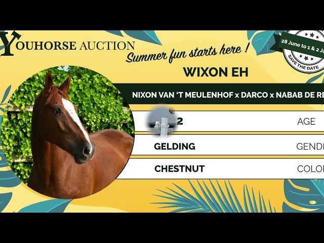 Wixon EH