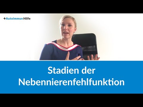 Stadien der Nebennierenfehlfunktion (Themen-Monat: Nebenniere, Teil 1)