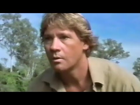 The Crocodile Hunter Collision Course Met Steve Irwin 2002 Trailer Commercial