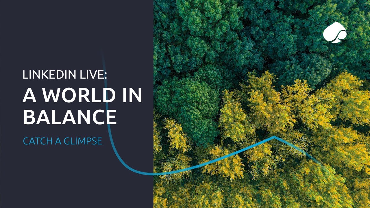 LinkedIn Live: catch a glimpse of A world in Balance CRI Report