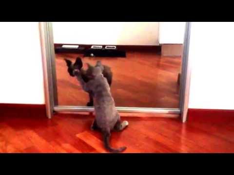 Kika incontra la nuova arrivata Yumi