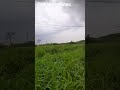 Silu Siluvendru Poongatru Whatsapp Status Tamil Vanamagan Nature Love ️ Melting Song Mebe Shots �