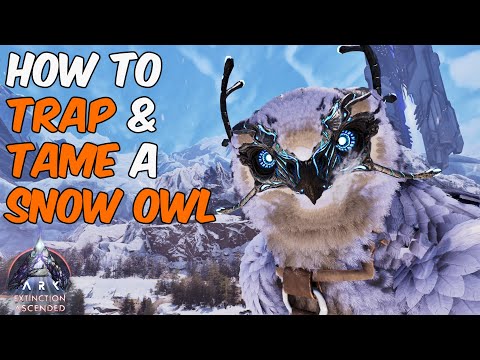 The Easiest Way To Trap & Tame a Snow Owl in ARK Survival Ascended Extinction + Full Ability Guide