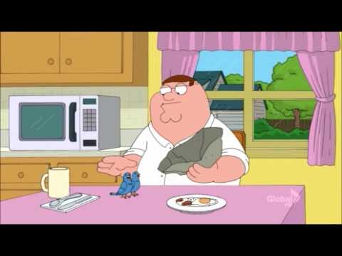 Peter Kills Two Birds With One Stone - Family Guy