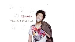 Lyrics EXO-M Xiumin - YOU ARE THE ONE [Hangul/Romanization/English]
