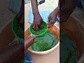 Matumizi Ya Majani Ya Mpapai Katika Kuzuia Kutibu Kuku Mwenye Minyoo Pamoja Na Homa Ya Matumbo 2