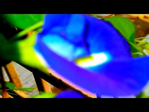 Muaz and Mom's Cooking is live! Live cooking Live recipe