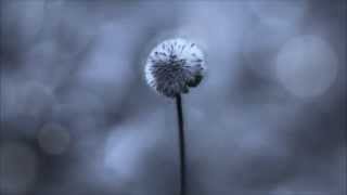 Laura Marling-Ghosts (Legendado Port.Br)