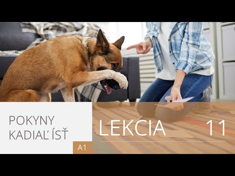 Lekcia 11. Pokyny kadiaľ ísť | Angličtina pre úplných začiatočníkov
