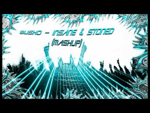 Busho - Insane & Stoned (Mashup)