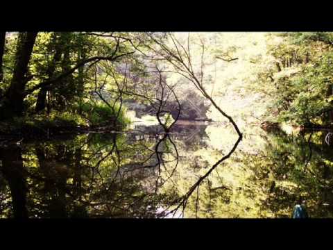 I. Mistre - Tymā upes molā