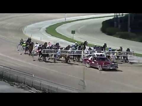 Aversa trotto 5 Febbraio 2020 - 7° Corsa