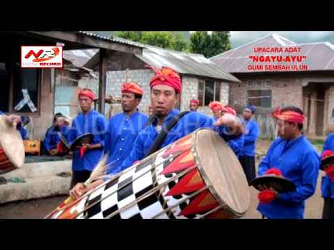 Exciter kuda untuk pria ulasan di mana untuk membeli Banyak titik putih kecil pada dahan yang