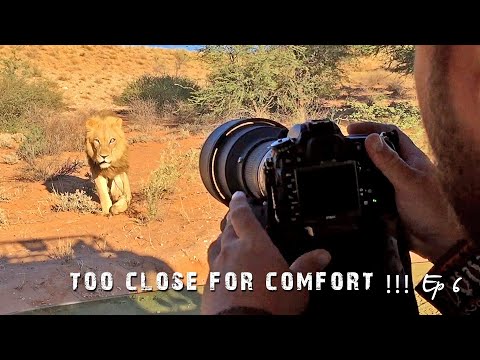 A Game Drive in the Kgalagadi Transfrontier Park  - Kgalagadi Photography Ep 6