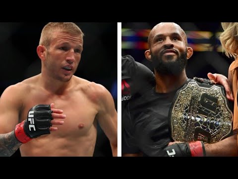 EA Sports UFC TJ Dillashaw Vs Demetrious Johnson Simulation