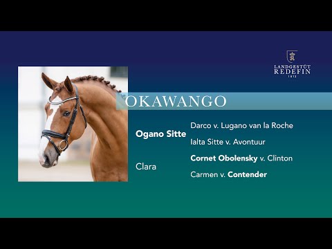 Okawango v. Ogano Sitte - Cornet Obolensky, OS, Hengst, gekört * 2018