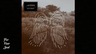 Amy Stroup - With Wings