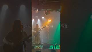 【オリジナル】きっとうまくいく/茶和 #弾き語り #オリジナル曲 #ギター #ライブ #ライブ映像