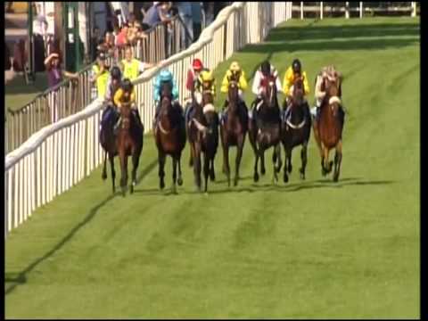 Hannover, Grosser Preis der Metallbau Burckhardt GmbH, 9.9.2012 - Siegerin: Waldtraut