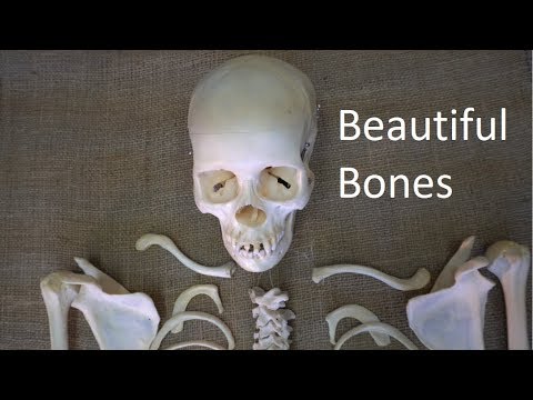 Beautiful Bones