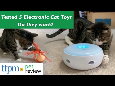 Electronic Cat Toy Reviews | Do They Work? | (We Tested Them All)