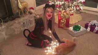 🐾 Meow! Have Yourself a Meowy Little Christmas! 🎶🐾❤️🌲