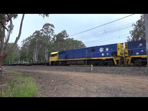 NR111 / NR81 with PN 4BS4 - 7/11/24