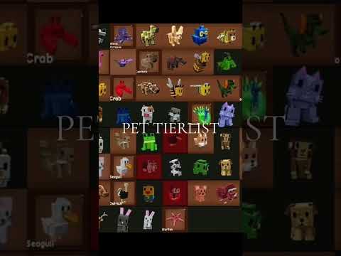 THE NEWEST PET TIERLIST IN GAG #roblox #growagarden