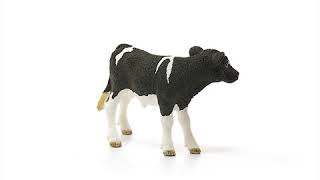 Schleich Teľa holštýnske