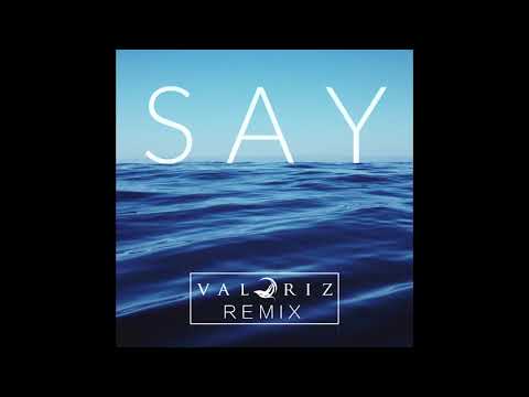 The Spacies - Say (Valoriz Remix)