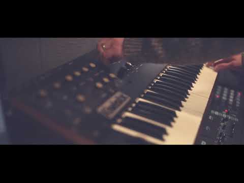 MIDERA | The settling madness