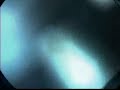 CBS Television Distribution 2008