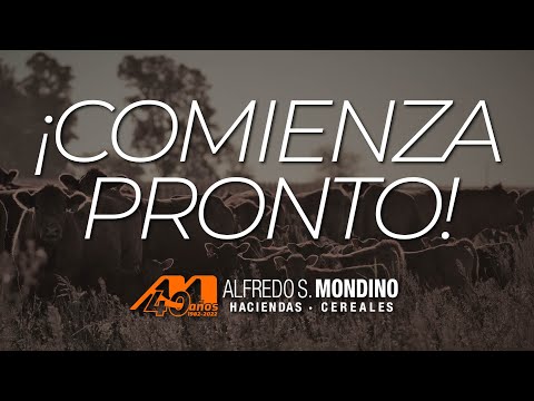 🔴EN VIVO | Remate TV de Hacienda General, desde Nueva Galia, San Luis | Alfredo S. Mondino, 4-10-23🔴