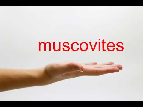 How to Pronounce muscovites - American English