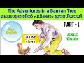 Adventures In A Banyan Tree In Malayalam Part 1 Easy English Chapter1 Easy English By SirajSali