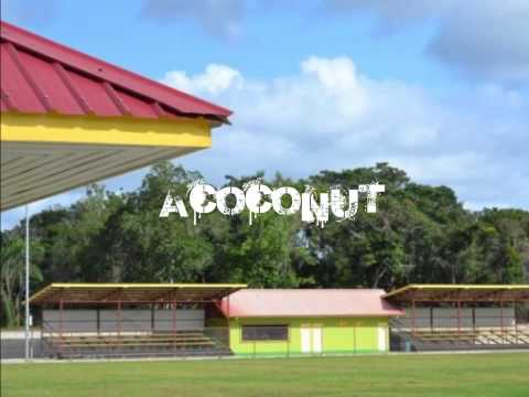 Alda feat Faya Paw -  Acoconut Anthem