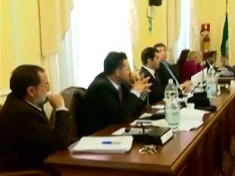 ONDA TG 20.12.2012 - CONFERENZA CAPIGRUPPO