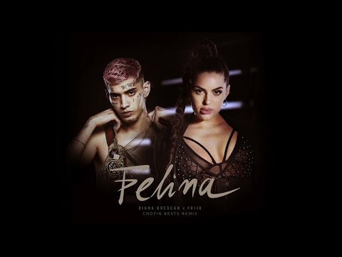Diana Brescan x Frijo - Felina | Chopin Beats Remix