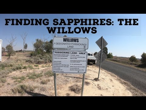 Finding Sapphires: The Willows, QLD