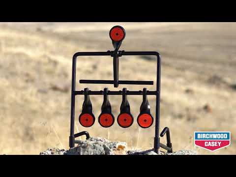 Birchwood Casey® World of Targets® Expert Resetting Gallery® Target