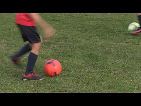 Wychowują dzieci poprzez sport