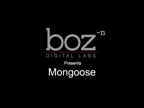 Mongoose Video - Extreme Panning